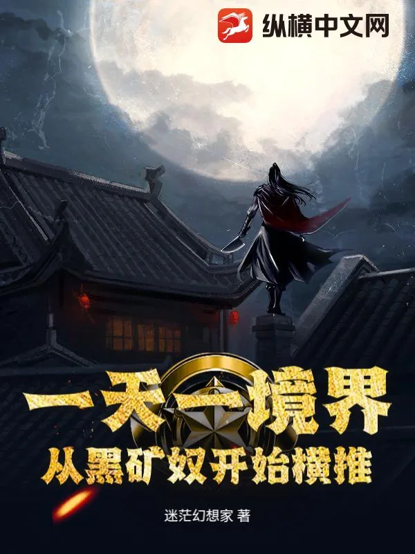 一天一境界，从黑矿奴开始横推